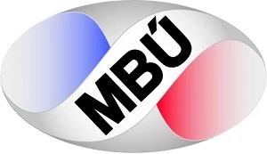 IMIC