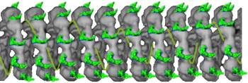 Des nanoparticules pour contrer le COVID-19