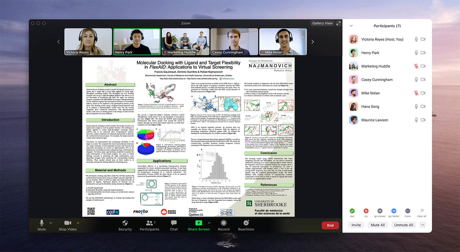 Virtual poster conversation on the Zoom app