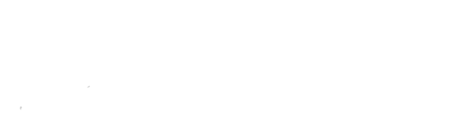University Of Bristol Logo